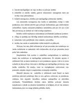 Referāts 'Individuālie preventīvie pasākumi policijas inspektora apkalpojamā teritorijā', 41.