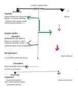 Konspekts 'Loģika un kritiskā domāšana ar uzdevumiem', 1.