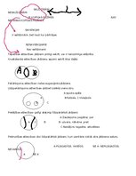 Konspekts 'Loģika un kritiskā domāšana ar uzdevumiem', 3.