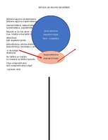 Konspekts 'Loģika un kritiskā domāšana ar uzdevumiem', 5.