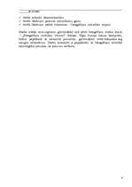 Referāts 'Fotogrāfijas fenomens', 4.