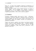 Referāts 'Fotogrāfijas fenomens', 13.