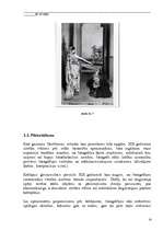 Referāts 'Fotogrāfijas fenomens', 14.