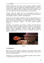 Referāts 'Fotogrāfijas fenomens', 16.