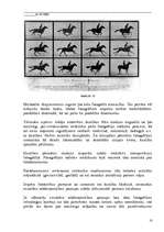 Referāts 'Fotogrāfijas fenomens', 18.