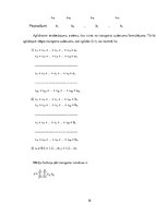 Paraugs 'Optimālo risinājumu teorija', 18.