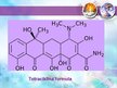 Prezentācija 'Tetraciklīni', 2.