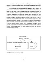 Referāts 'Ērču izraisītās slimības un to profilakse', 7.