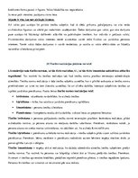 Konspekts 'Tiesību teorija. Eksāmena atbildes', 24.