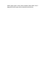 Diplomdarbs 'Latvijas kā tūrisma galamērķa pozicionēšanas iespējas un attīstība', 57.