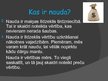Prezentācija 'Viss par naudu', 2.