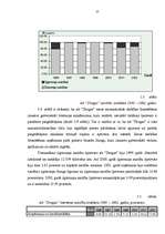 Referāts 'Uzņēmuma finanšu analīze', 57.