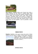 Referāts 'Latvija - Lietuva', 8.