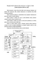 Konspekts 'Starptautiskie tirdzniecības darījumi un līgumu veidi', 1.