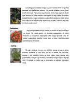 Referāts 'Telpaugu nozīme viesmīlības atmosfēras radīšanā', 6.