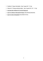 Referāts 'Telpaugu nozīme viesmīlības atmosfēras radīšanā', 9.