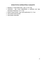 Referāts 'SIA "X" finansiālās darbības analīze', 19.