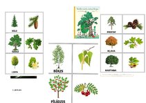Konspekts 'Dienas izvērsts plānojums valodas mācību jomā pirmsskolā', 10.