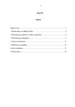 Biznesa plāns 'Masāžas pakalpojuma uzņēmums SIA "Moody rooms"', 2.