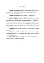 Biznesa plāns 'Masāžas pakalpojuma uzņēmums SIA "Moody rooms"', 3.