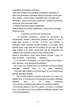 Referāts 'Autortiesību un blakustiesību krimināltiesiskais aspekts', 13.