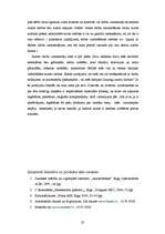 Referāts 'Autortiesību un blakustiesību krimināltiesiskais aspekts', 20.