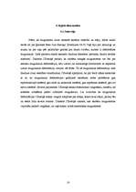 Referāts 'Mugursomu svara ietekme uz skolēna veselību un stāju', 16.