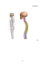 Referāts 'Mugursomu svara ietekme uz skolēna veselību un stāju', 33.