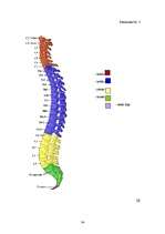 Referāts 'Mugursomu svara ietekme uz skolēna veselību un stāju', 34.
