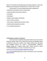 Referāts 'Nodokļu sistēmas veidošanas pamatprincipi un problēmas Latvijā', 19.