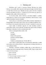 Biznesa plāns 'Motivācijas veidi un pielietojums', 15.