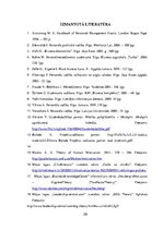 Biznesa plāns 'Motivācijas veidi un pielietojums', 29.