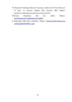 Biznesa plāns 'Motivācijas veidi un pielietojums', 30.