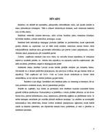 Referāts 'Reklāmas izpēte', 4.