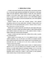 Referāts 'Reklāmas izpēte', 5.