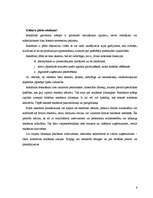 Referāts 'Reklāmas izpēte', 6.