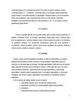 Referāts 'Reklāmas izpēte', 8.