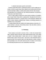 Referāts 'Reklāmas izpēte', 9.