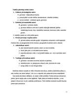 Referāts 'Reklāmas izpēte', 11.