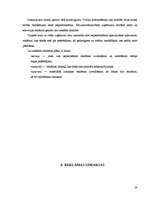 Referāts 'Reklāmas izpēte', 19.