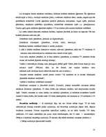 Referāts 'Reklāmas izpēte', 20.