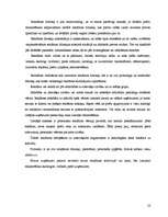 Referāts 'Reklāmas izpēte', 22.