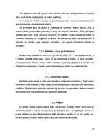 Referāts 'Reklāmas izpēte', 24.