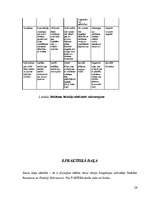 Referāts 'Reklāmas izpēte', 26.