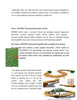 Referāts 'Reklāmas izpēte', 41.