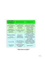 Referāts 'Reklāmas izpēte', 44.