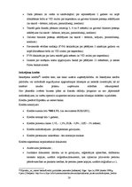 Diplomdarbs '"Mini" kredītu saņemšanas iespējas Latvijas komercbankās', 28.