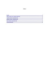 Referāts 'Laimes avoti latviešu tautadziesmās', 2.