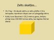 Prezentācija 'Zelts', 13.