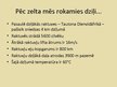 Prezentācija 'Zelts', 14.